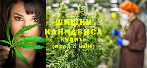 винт Гусь-Хрустальный