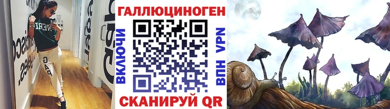 цена Великий Устюг Псилоцибиновые грибы Cubensis