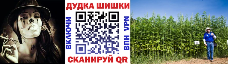Бошки марихуана конопля  Великий Устюг 